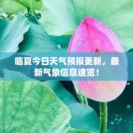 悬梁刺股