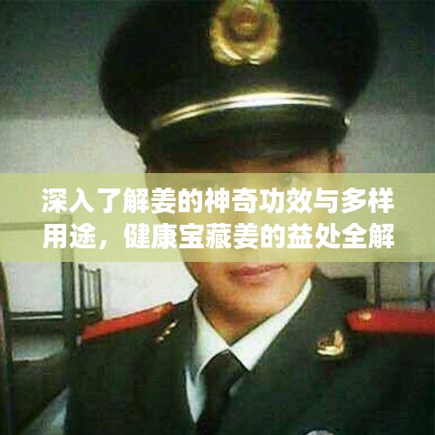 深入了解姜的神奇功效与多样用途，健康宝藏姜的益处全解析