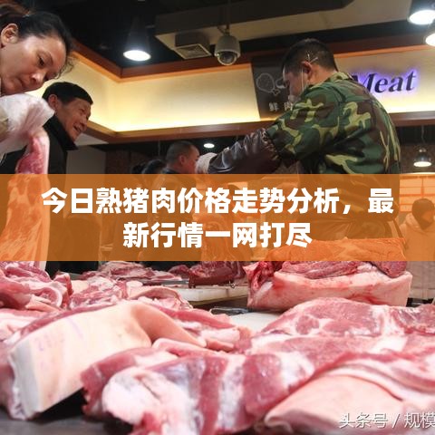 今日熟猪肉价格走势分析，最新行情一网打尽