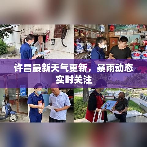 云龙井蛙