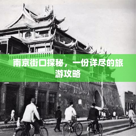 生张熟魏