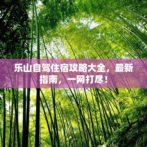 乐山自驾住宿攻略大全，最新指南，一网打尽！