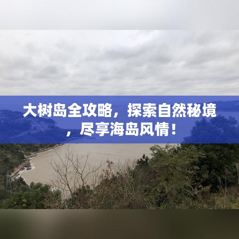大树岛全攻略，探索自然秘境，尽享海岛风情！