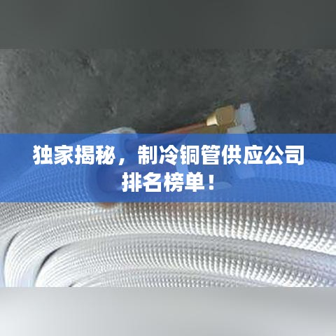 雍容华贵