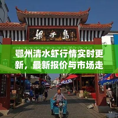 鄂州清水虾行情实时更新，最新报价与市场走势分析