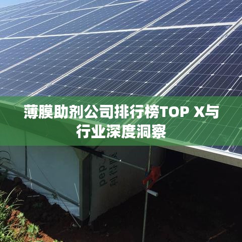 薄膜助剂公司排行榜TOP X与行业深度洞察