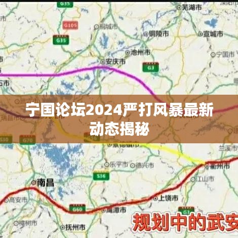 宁国论坛2024严打风暴最新动态揭秘