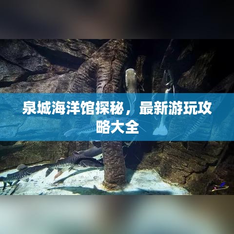 出就外傅