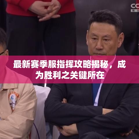 一花独放