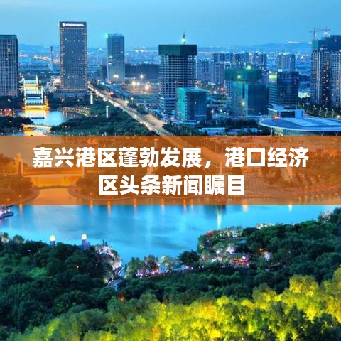 张弓挟矢