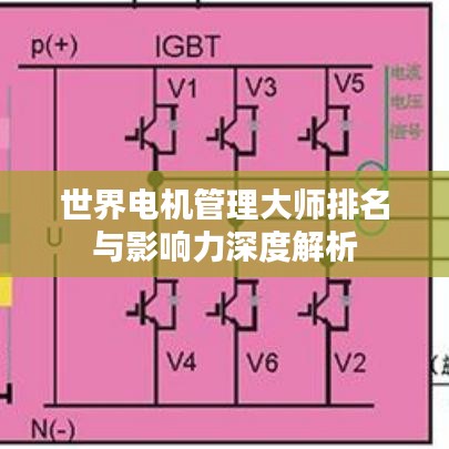 世界电机管理大师排名与影响力深度解析