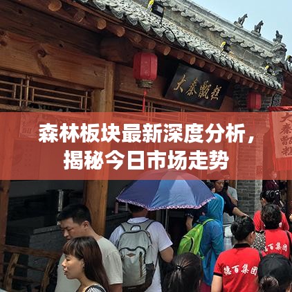 森林板块最新深度分析，揭秘今日市场走势