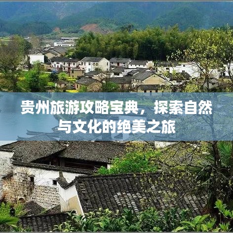 张王李赵