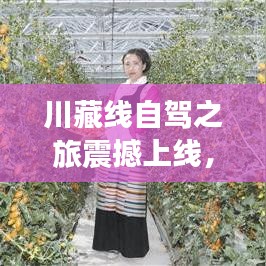 堂堂正正