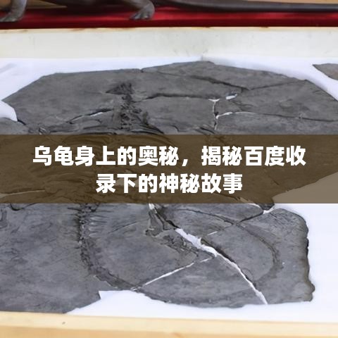 济济一堂
