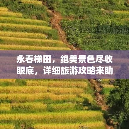 永春梯田，绝美景色尽收眼底，详细旅游攻略来助力！