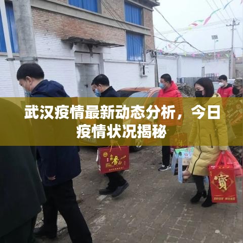 武汉疫情最新动态分析，今日疫情状况揭秘