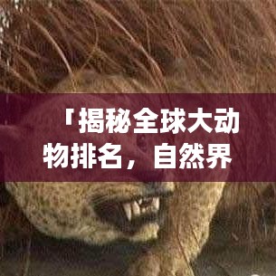 「揭秘全球大动物排名，自然界的巨兽震撼来袭！」