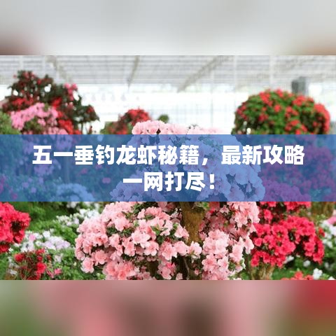 五一垂钓龙虾秘籍，最新攻略一网打尽！
