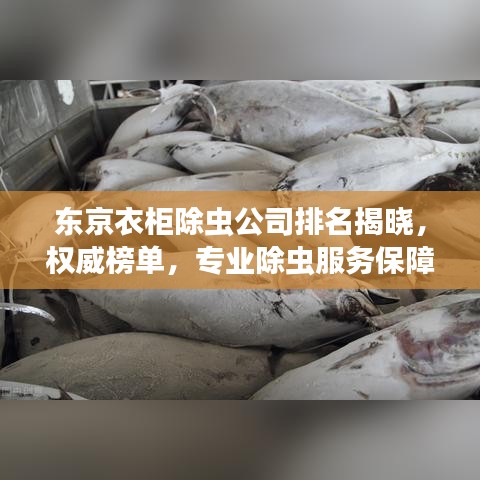 东京衣柜除虫公司排名揭晓，权威榜单，专业除虫服务保障！