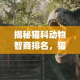 揭秘猫科动物智商排名，猫咪世界的智慧探索