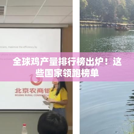 全球鸡产量排行榜出炉！这些国家领跑榜单