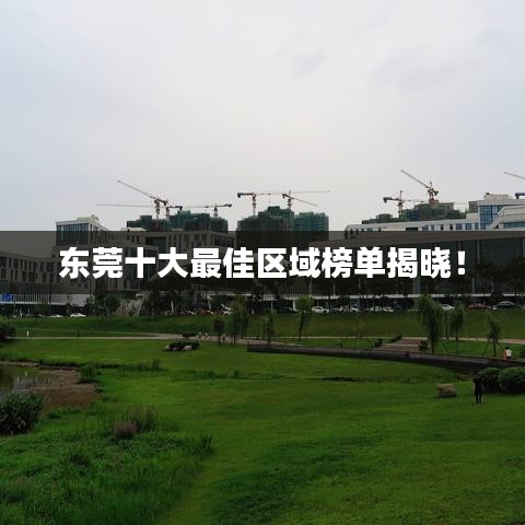 东莞十大最佳区域榜单揭晓！