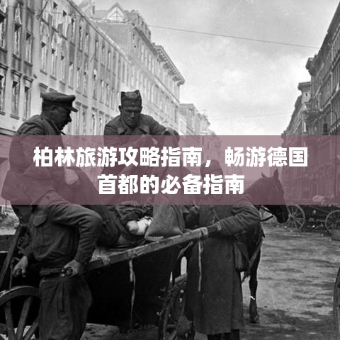 2025年5月