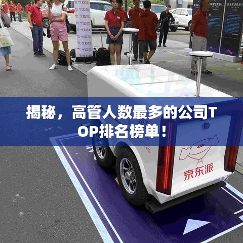 揭秘，高管人数最多的公司TOP排名榜单！