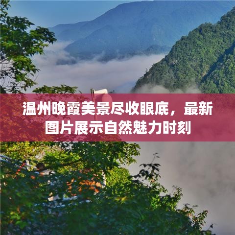 2025年5月 第4页