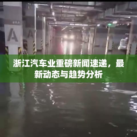 浙江汽车业重磅新闻速递，最新动态与趋势分析