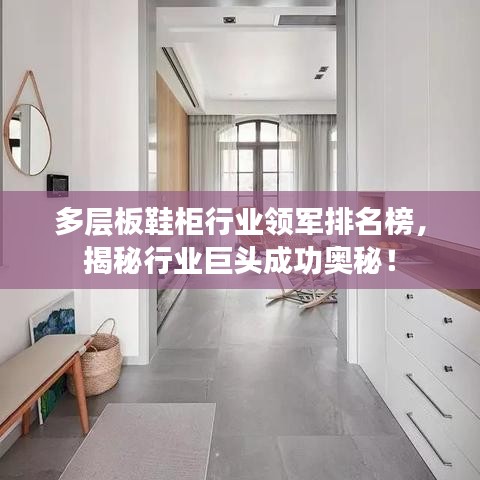 多层板鞋柜行业领军排名榜，揭秘行业巨头成功奥秘！