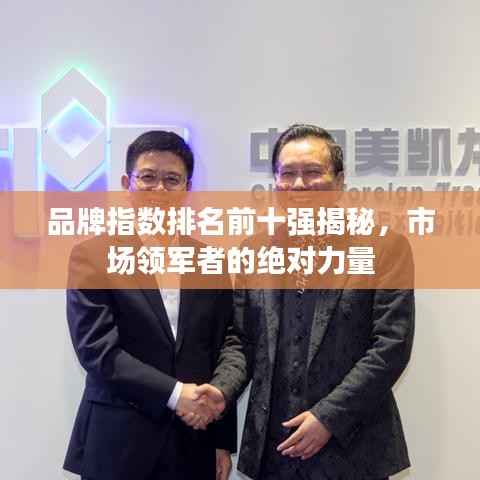 品牌指数排名前十强揭秘，市场领军者的绝对力量