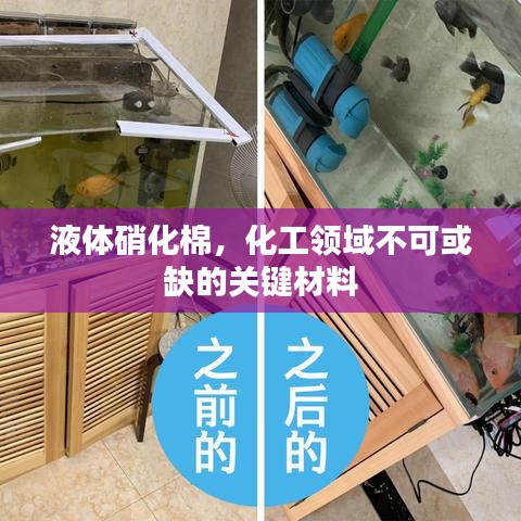 液体硝化棉，化工领域不可或缺的关键材料