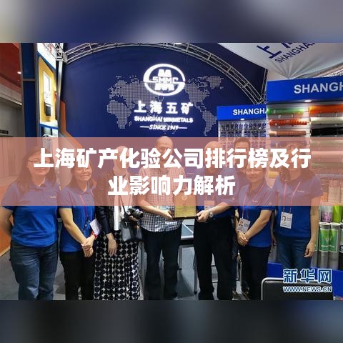 上海矿产化验公司排行榜及行业影响力解析