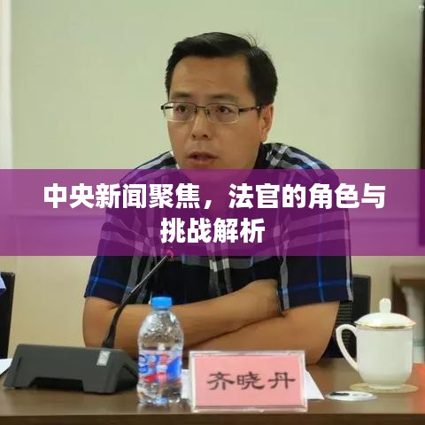 中央新闻聚焦，法官的角色与挑战解析