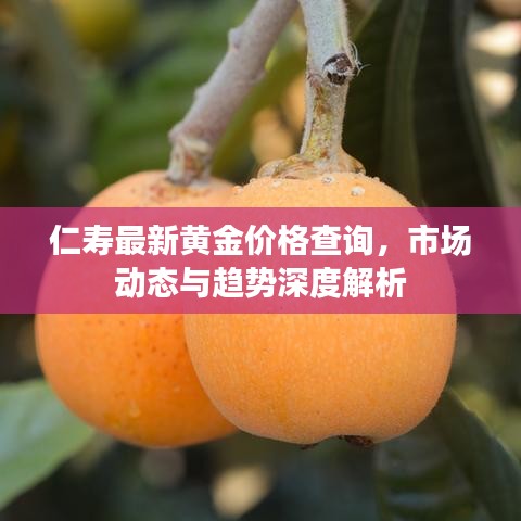 仁寿最新黄金价格查询，市场动态与趋势深度解析