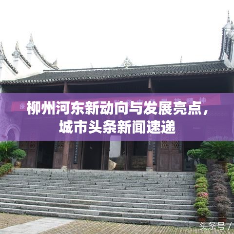 柳州河东新动向与发展亮点，城市头条新闻速递