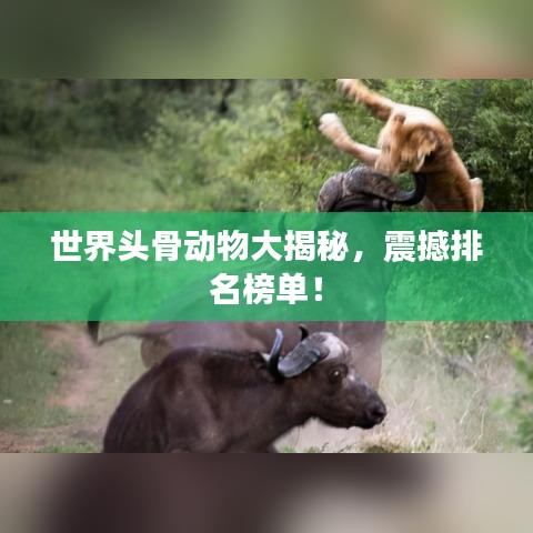 2025年5月12日 第4页