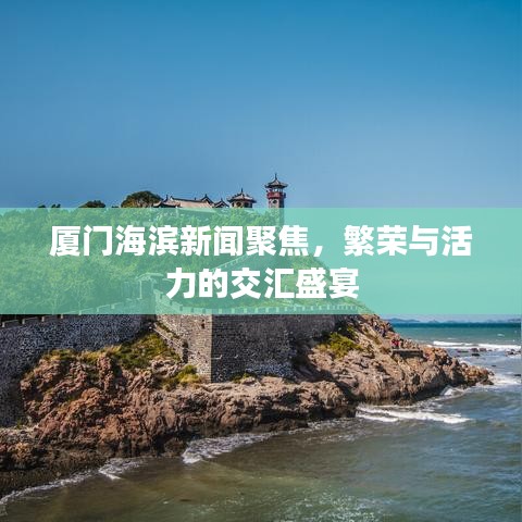 厦门海滨新闻聚焦，繁荣与活力的交汇盛宴