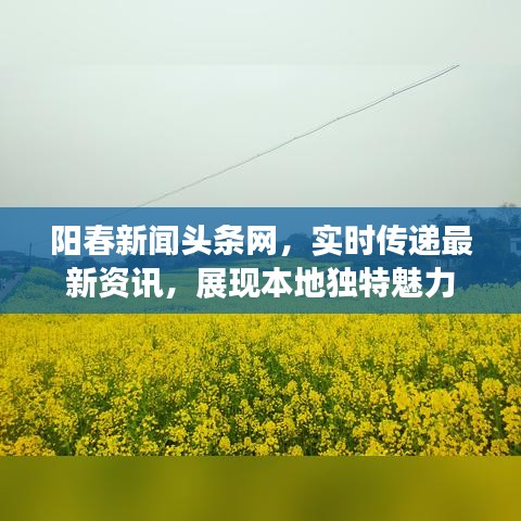 阳春新闻头条网，实时传递最新资讯，展现本地独特魅力