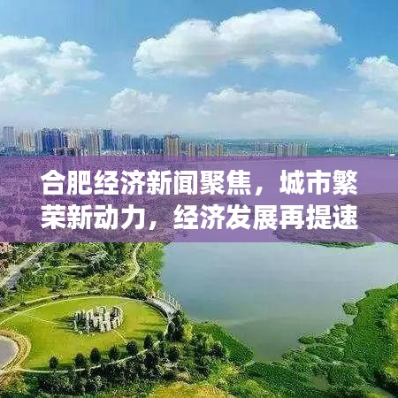 合肥经济新闻聚焦，城市繁荣新动力，经济发展再提速