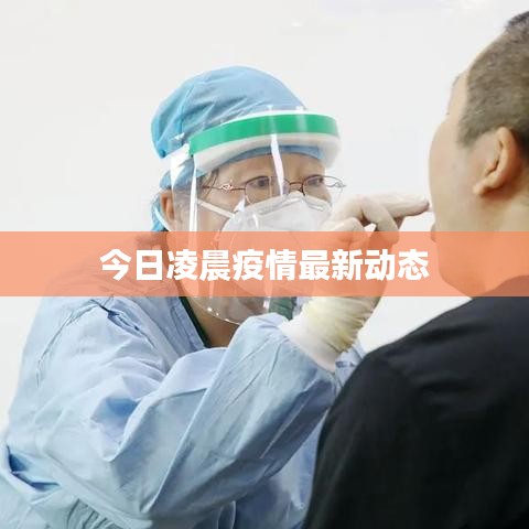 今日凌晨疫情最新动态