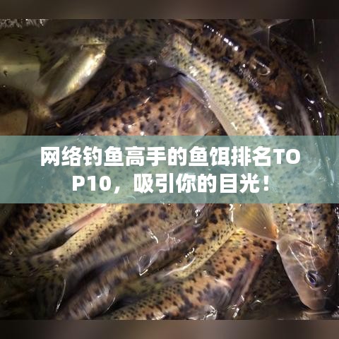 网络钓鱼高手的鱼饵排名TOP10，吸引你的目光！