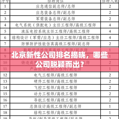 北京新性公司排名揭晓，哪些公司脱颖而出？