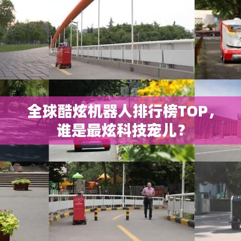 全球酷炫机器人排行榜TOP，谁是最炫科技宠儿？