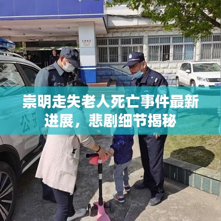 崇明走失老人死亡事件最新进展，悲剧细节揭秘