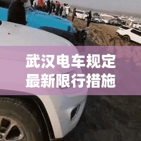 武汉电车规定最新限行措施解读