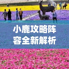 小鹿攻略阵容全新解析，解锁游戏胜利之门！