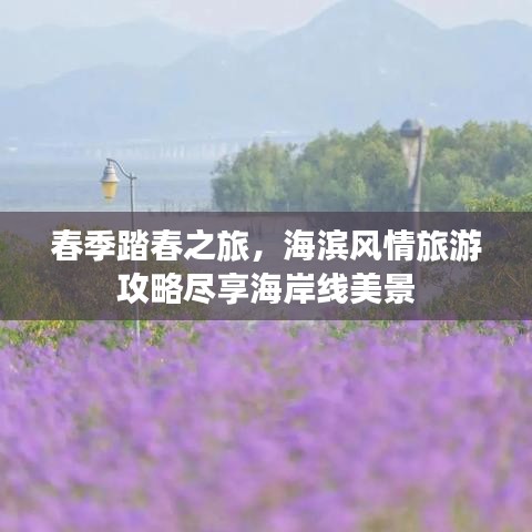 春季踏春之旅，海滨风情旅游攻略尽享海岸线美景